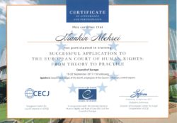 Сертификат ЕСПЧ Алексея Нянькина адвоката